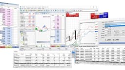 Thumbnail for How to Set Up MetaTrader Platform for a Forex Brokerage: A Complete Guide