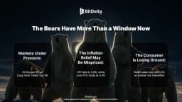 Thumbnail for The Bears Have More Than a Window Now